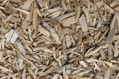 biomass boilers Tantobie